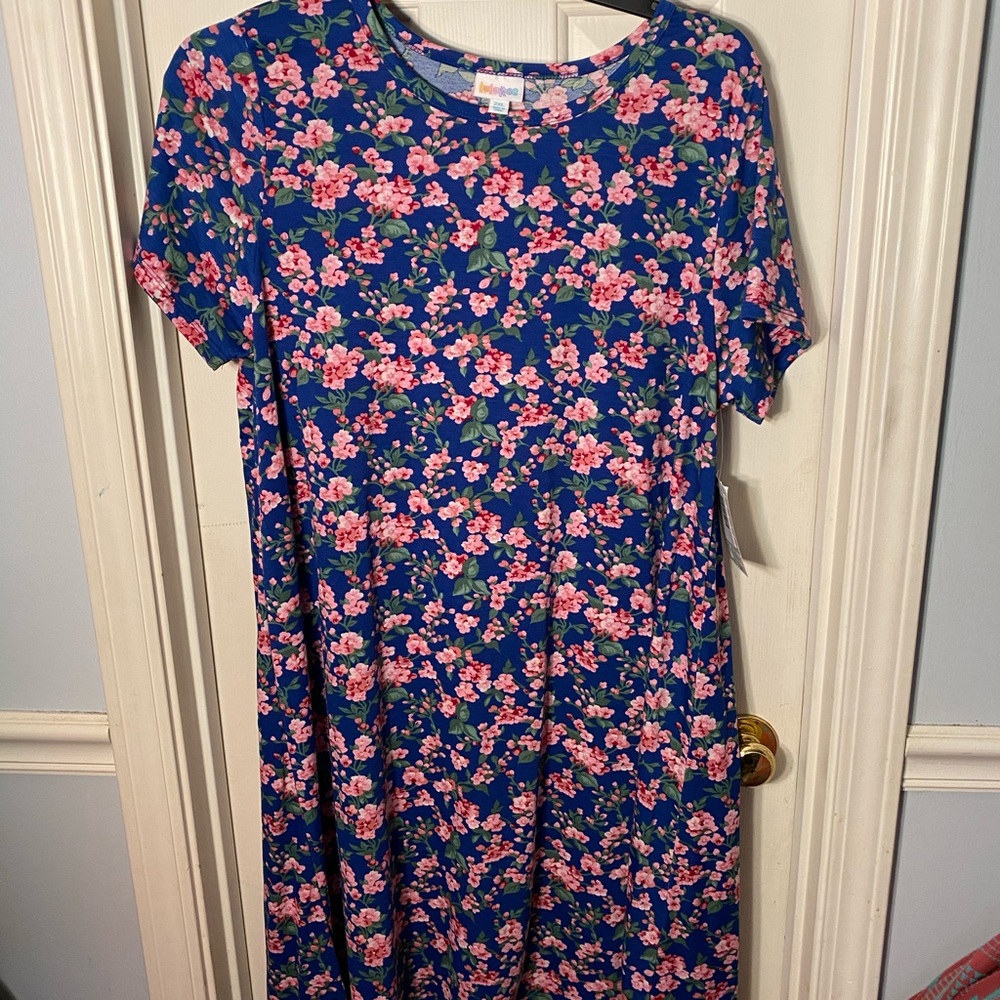 NWT Lularoe Carly Dress